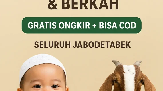Harga Paket Aqiqah 2 Kambing Murah & Berkah di Jabodetabek | Gratis Ongkir & Bisa COD
